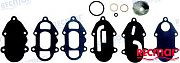 Recmar REC89031A4 Fuel Diaphram Kit