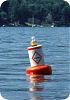 Regulatory Buoys