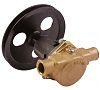 Sherwood G21 Pleasurecraft Cooling Pump