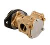Sherwood P1730C Cummins Seawater Pump