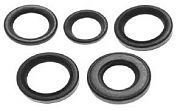 Sierra 0522 Oil Seals