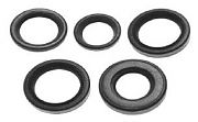 Sierra 0583 Oil Seal