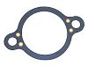 Sierra 18-2917 Thermostat Gasket