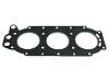 Sierra 18-2960 Head Gasket