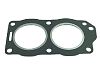 Sierra 18-2963 Head Gasket