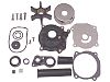 Sierra 18-33152 Water Pump Kit