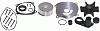 Sierra 18-3390 Water Pump Kit - OMC #395060