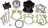 Sierra 18-3409 Water Pump Kit - with Housing