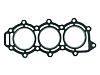 Sierra 18-3819 Head Gasket