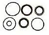 Sierra 4329 Crankshaft Seal Kit