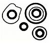 Sierra 83621 Lower Unit Seal Kit