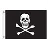 Taylor Made 1818 Jolly Roger Design Flag