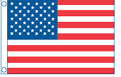 Taylor Made 2418 U.S. 50 Star Flag 12" X 18"