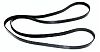 Volvo Penta 21995946 Belt
