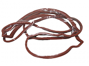 Volvo Penta 3861288 Gasket