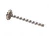 Volvo Penta 838638 Exhaust Valve