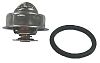 Volvo Penta 875580 Thermostat Kit