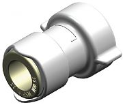 Whale WX1542B Adaptor Female 3/4IN Bsp